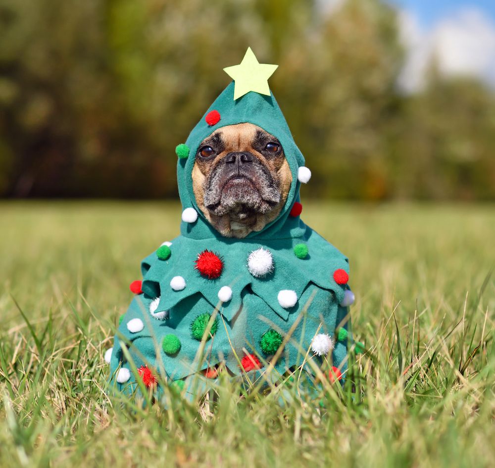 Question of the Week